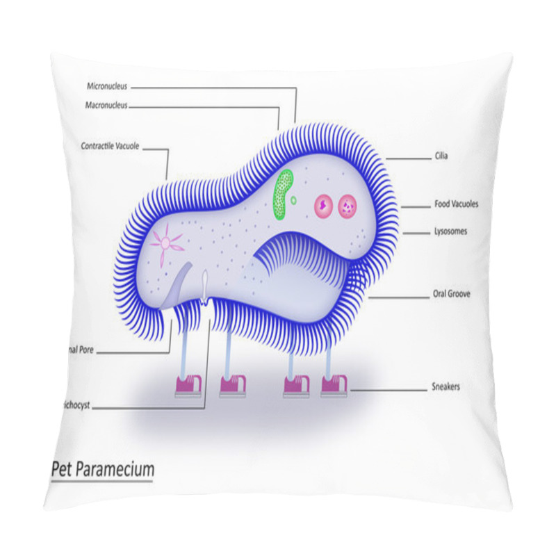 Personality  Pet Paramecium Pillow Covers