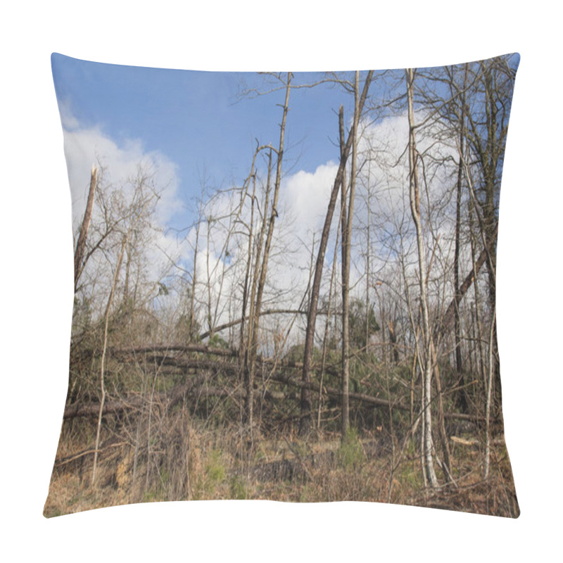 Personality  Storm Damage. Broken Tree In The Forest, Landes, France Pillow Covers