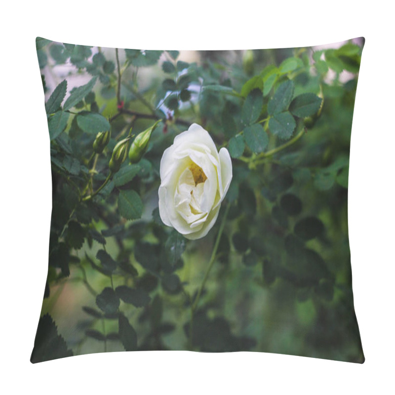 Personality  Blooming Bush Of White Jasmine Pillow Covers