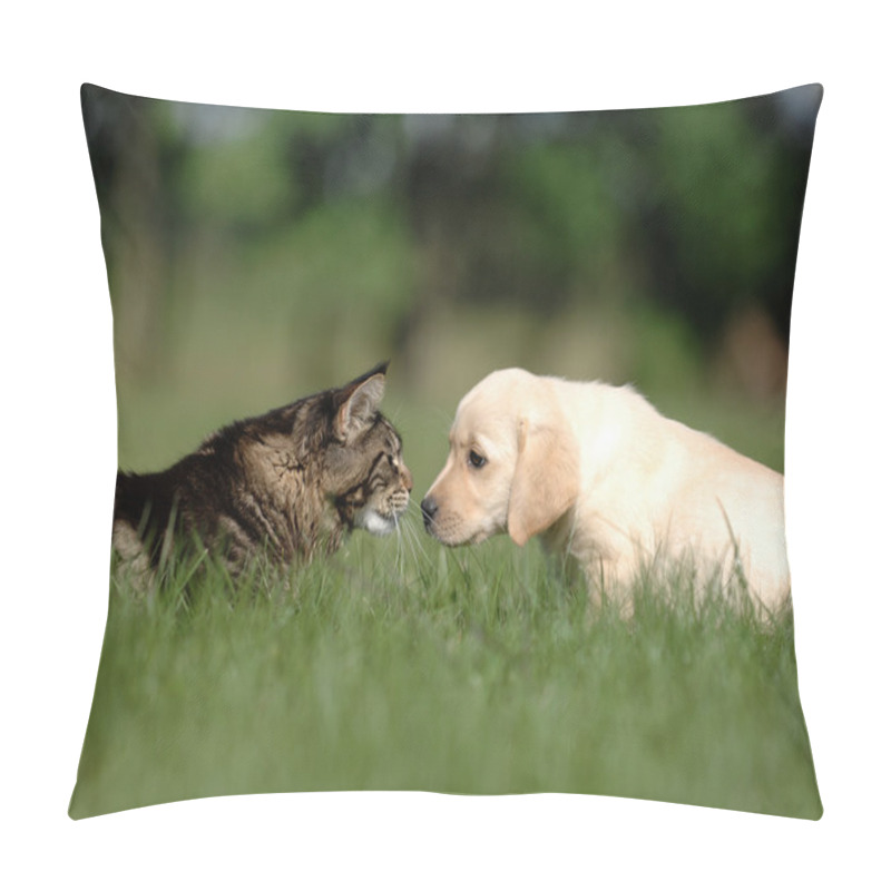 Personality  Labrador Puppy And Cat Love And Friendship Pillow Covers