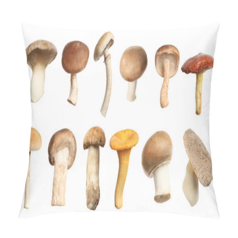 Personality  Set Of Different Fresh Mushrooms On White Background. Banner Design  Pillow Covers