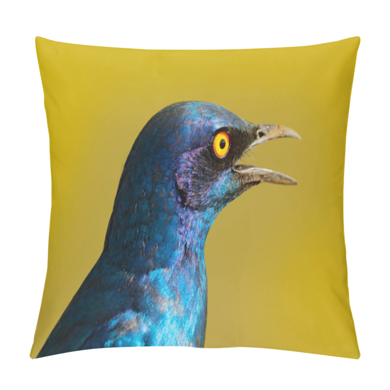 Personality  Beautiful Shiny Bird In The Green Forest. Cape Glossy Starling, Lamprotornis Nitens, Nature Habitat. Detail Close-up Portrait With Yellow Eye. Pillow Covers