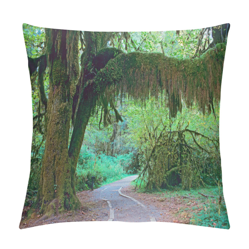 Personality  Walkway In Olympic National Park Pillow Covers