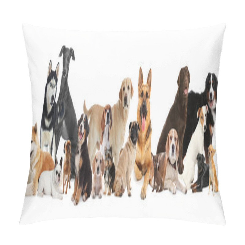 Personality  Collage With Different Dogs On White Background. Banner Design Pillow Covers