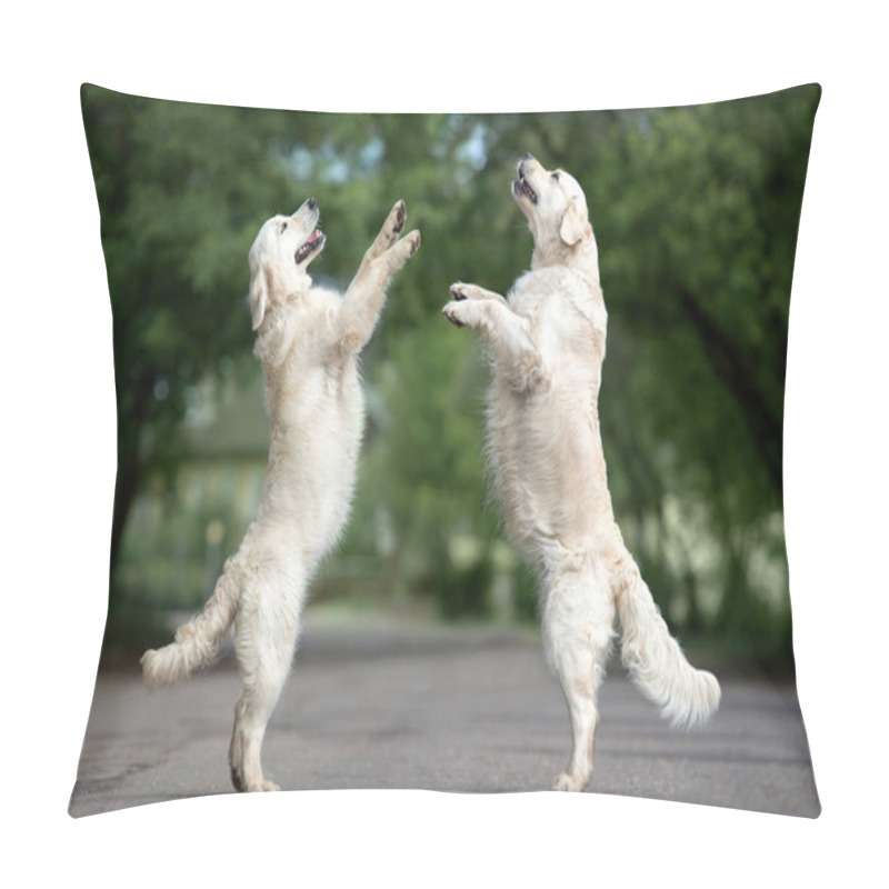 Personality  Two Golden Retriever Dogs Dancing On The Street Pillow Covers