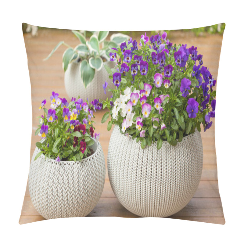 Personality  Beautiful Pansy Summer Flowers In Flowerpots In Garden Pillow Covers