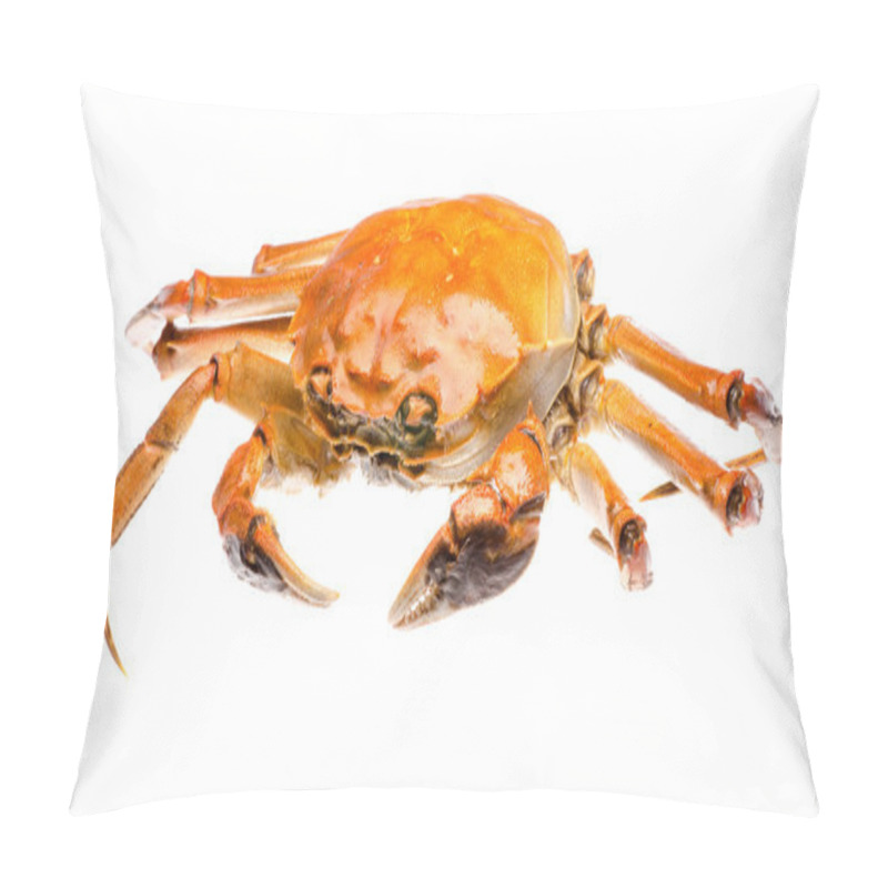 Personality  Red Crab Pillow Covers