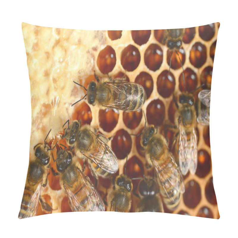 Personality  Closeup Of Hardworking Bees On Honeycomb Pillow Covers