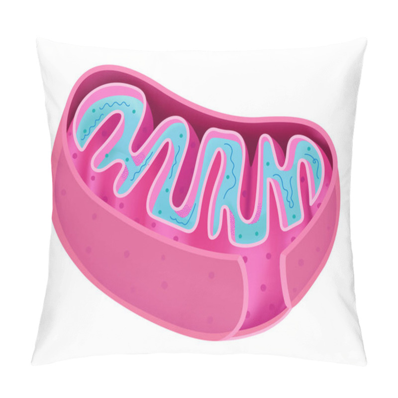 Personality  Structure Of The Mitochondria Pillow Covers