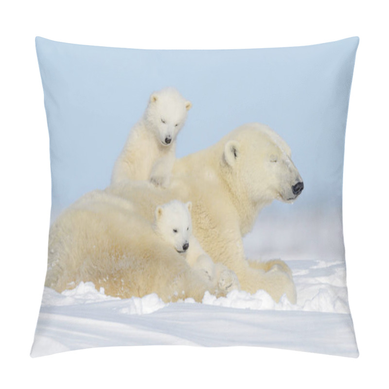 Personality  Polar Bear Mother (Ursus Maritimus) Playing With Two Cubs, Wapusk National Park, Manitoba, Canada Pillow Covers