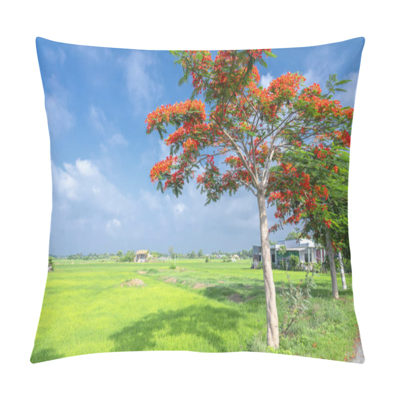 Personality  Red Royal Poinciana Blooming Along The Road, Far Away Is Rice Fields And Houses In Rural Vietnam Are So Simple Pillow Covers