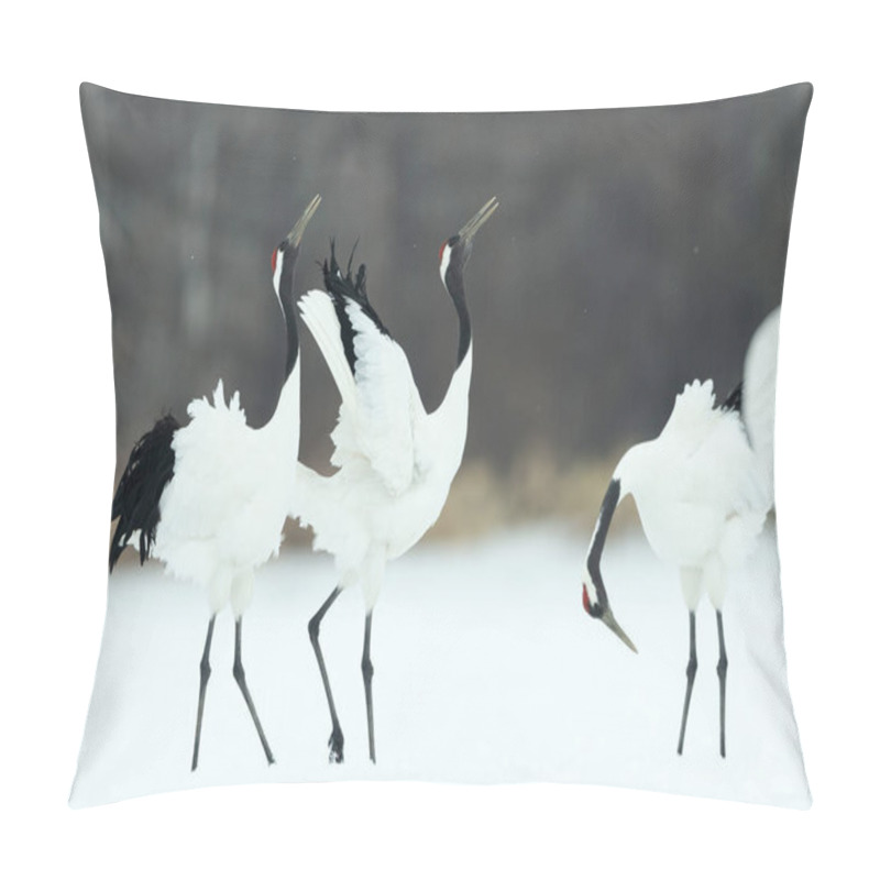 Personality  The Ritual Marriage Dance Of Cranes. The Red-crowned Cranes. Scientific Name: Grus Japonensis, Also Called The Japanese Crane Or Manchurian Crane, Is A Large East Asian Crane. Pillow Covers