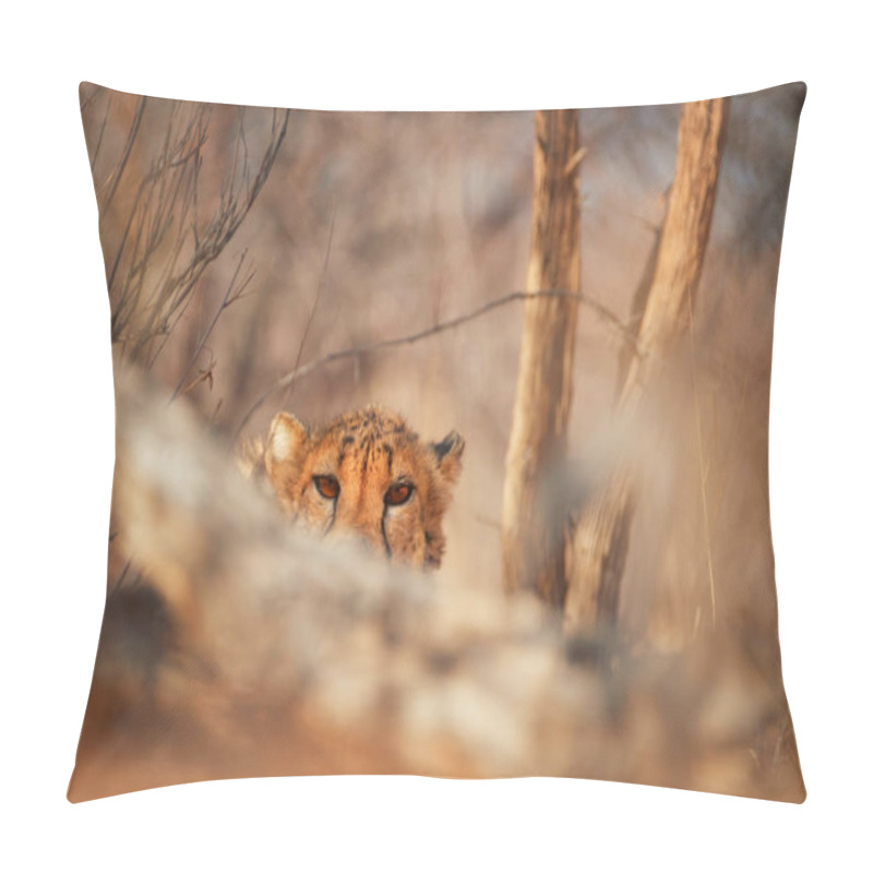 Personality  Eyes Of Wild Cheetah, Acinonyx Jubatus, Hidden Behind Branch, Staring Directly At Camera. Ground Level Photography. Typical Etosha Dry Forest Environment. Etosha National Park, Namibia. Pillow Covers