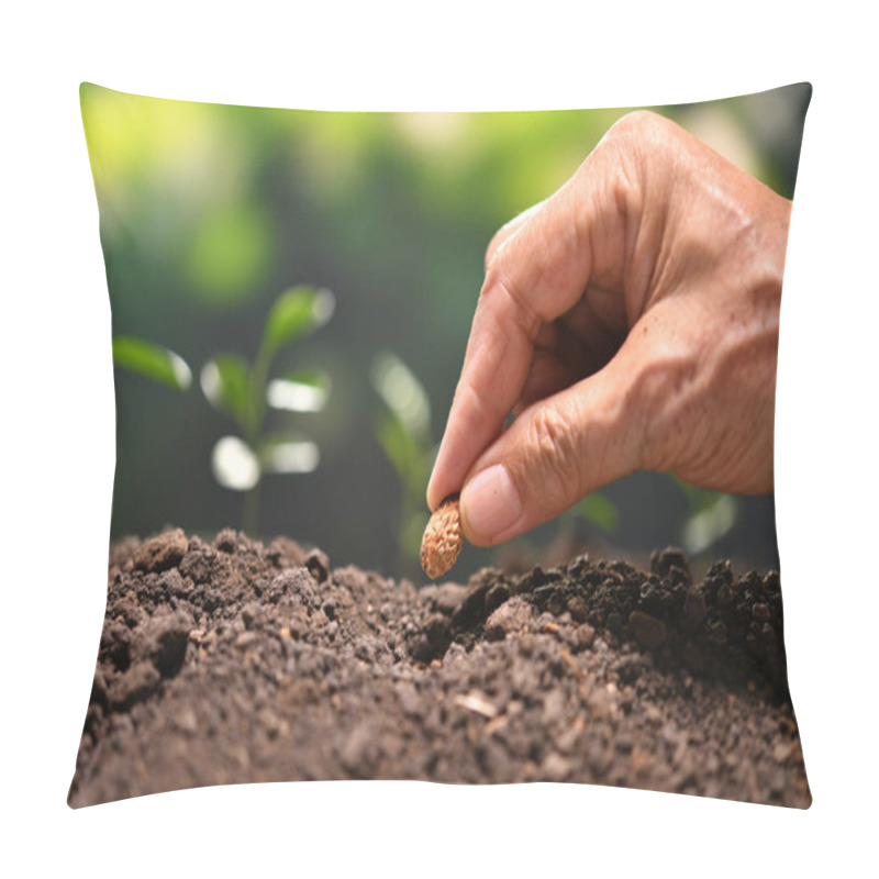 Personality  Farmer's Hand Planting A Seed In Soil Pillow Covers