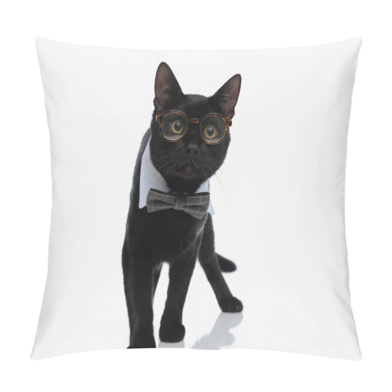 Personality  Curious Black Cat With Bowtie And Glasses Walking Forward On White Background, Looking Like A Gentleman Pillow Covers