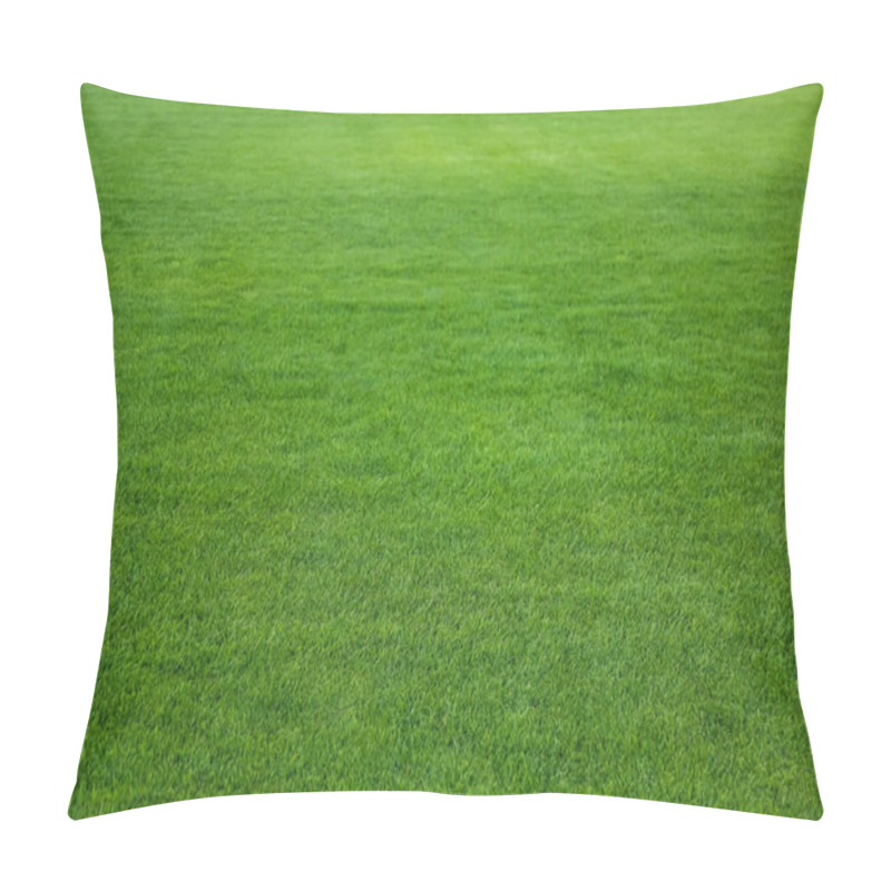 Personality  Green Lawn With Fresh Grass As Background Pillow Covers