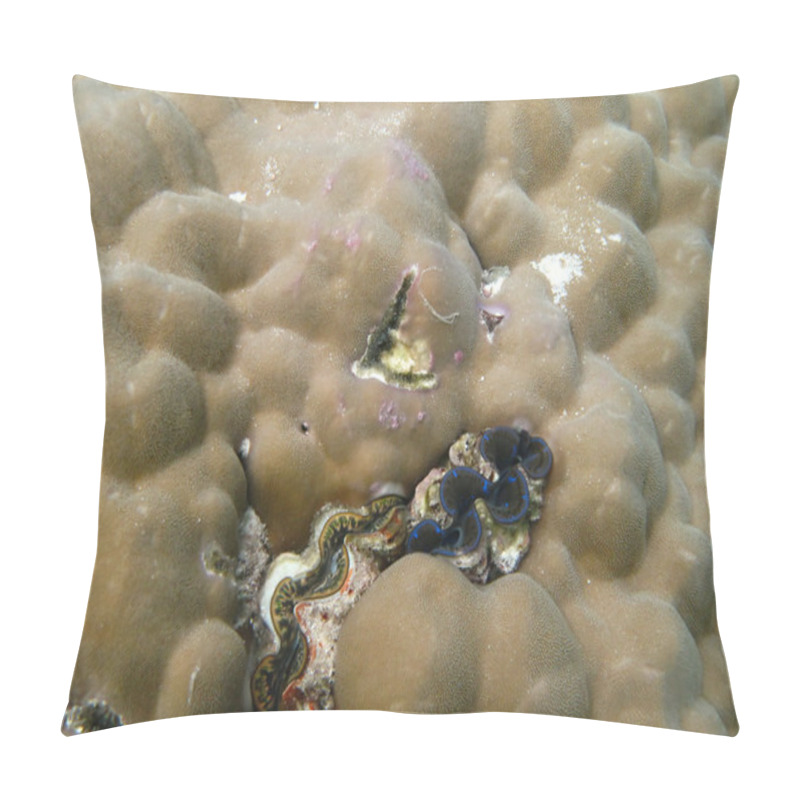 Personality  Hard Sea Corals Marine Life In Indian Ocean Maledives Pillow Covers