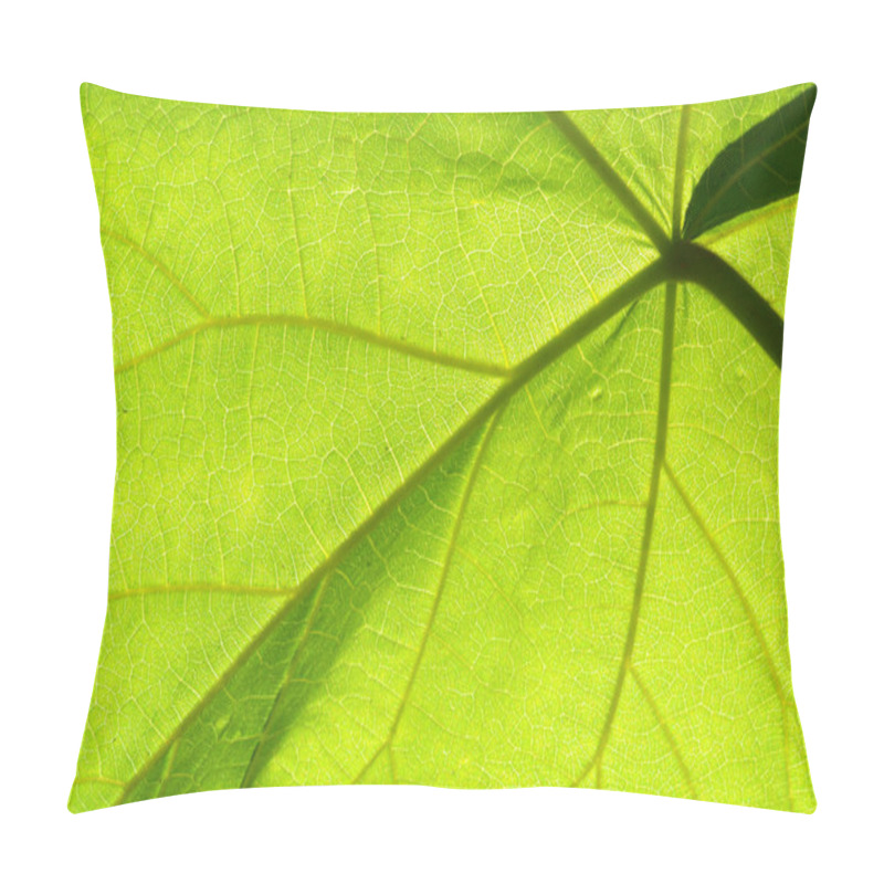 Personality  Beautiful Green Leaf Pillow Covers