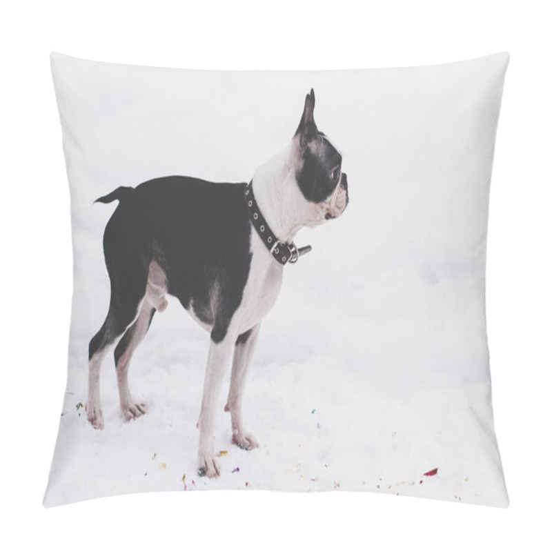 Personality  Dog Breed Boston Terrier On A Winter Day For A Walk Pillow Covers