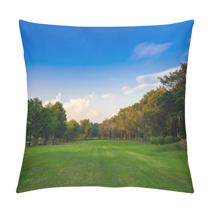 Personality  Green Park With Lawn And Trees In A City Pillow Covers