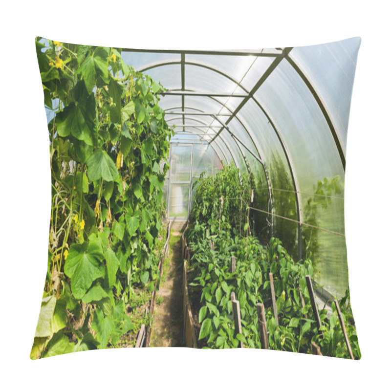 Personality  Inside Plastic Covered Horticulture Greenhouse Pillow Covers