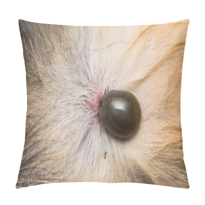 Personality  Adult Tick On The Skin Surface Of A Cat, Before Lay Eggs Pillow Covers