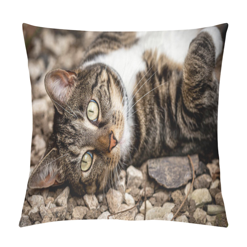 Personality  A Tabby Cat Laying On Her Back And Looking At The Camera Pillow Covers