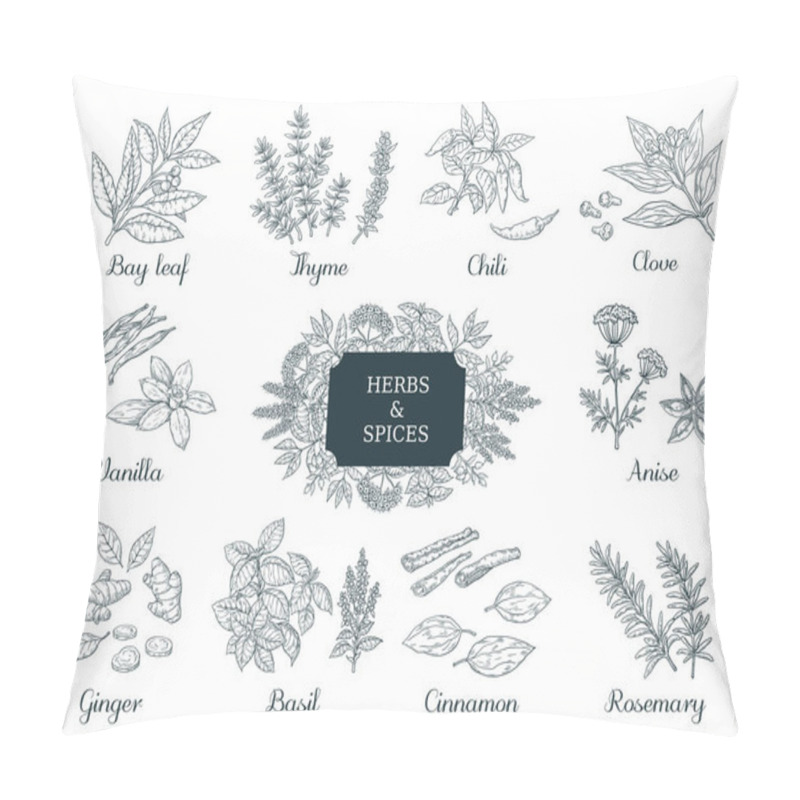 Personality  Hand Drawn Spices. Indian Food Herbs And Vegetables, Italian And Asian Ingredients, Chili Thyme And Ginger Vector Vintage Sketch Pillow Covers