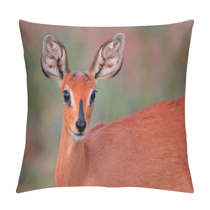 Personality  Chobe Bushbuck, Tragelaphus Scriptttus Ornatus, Detail Portrait Of Antelope In The Green Leaves, Animal In The Nature Habitat, Victoria Falls, Zambezi River, Zimbabwe. Pillow Covers