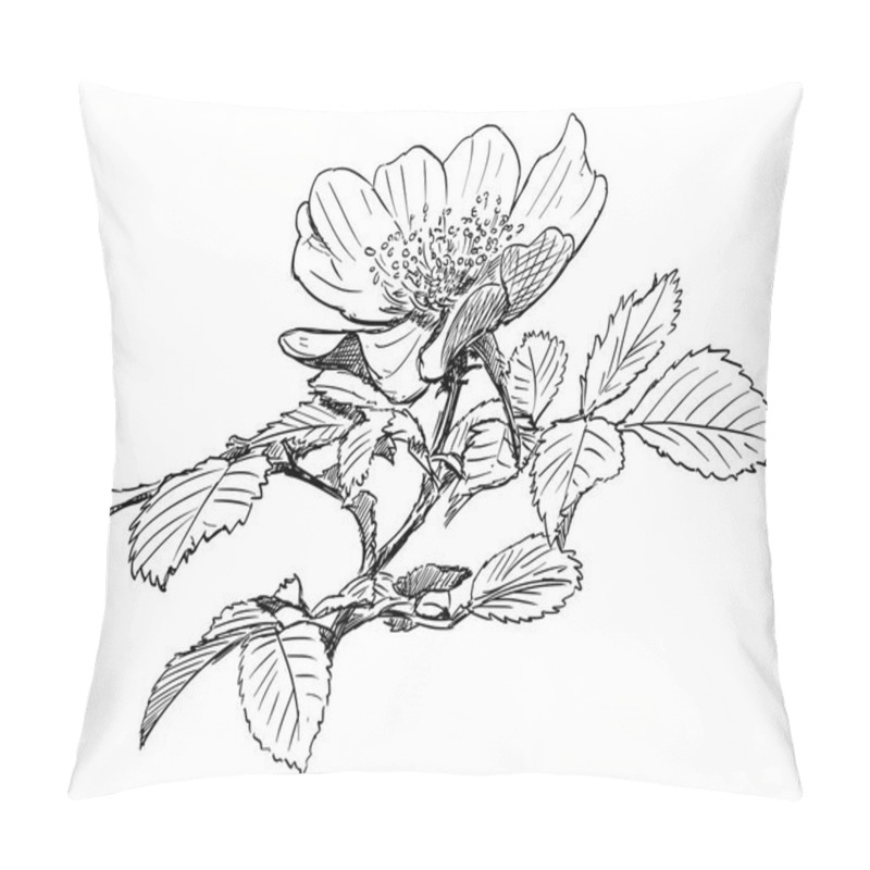 Personality  Vector Hand Drawing Of Wild Rose Branch With Blooming Flower Pillow Covers