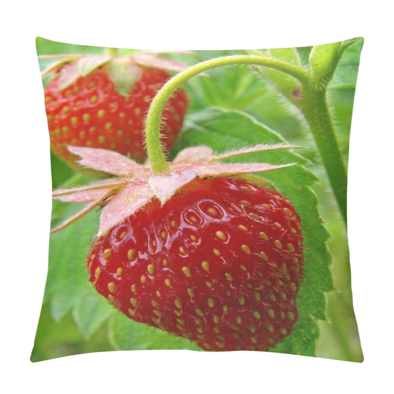 Personality  Strawberries Pillow Covers