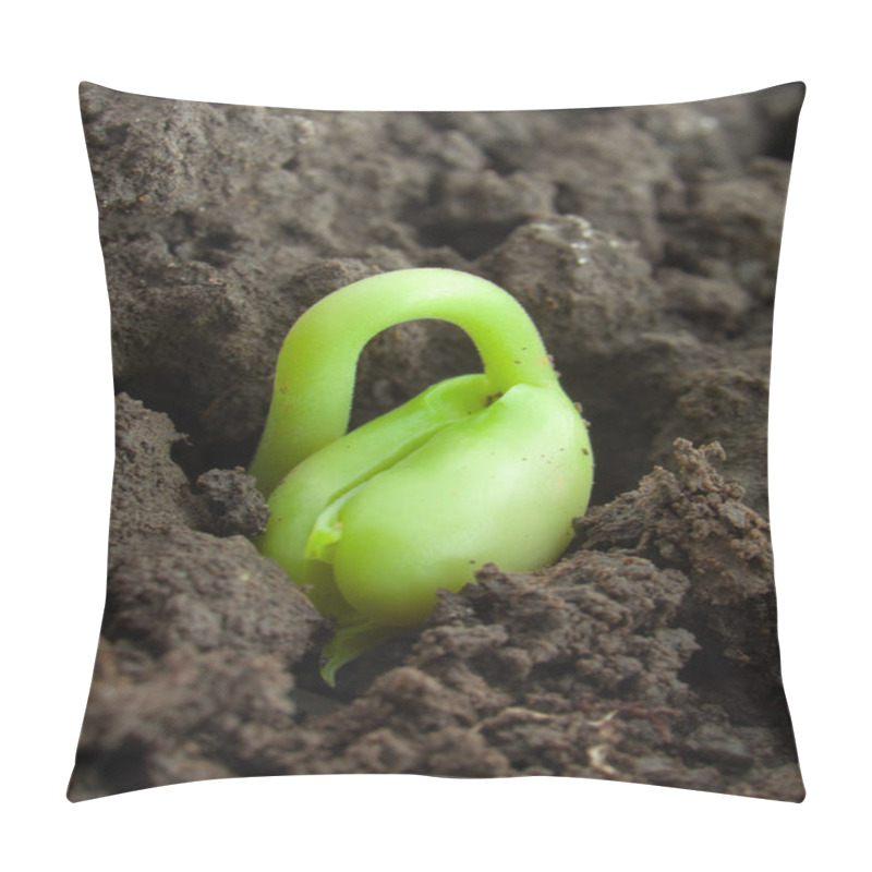 Personality  Small Plant Pillow Covers