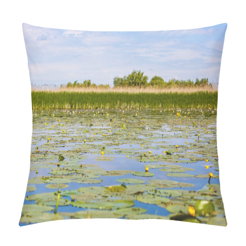 Personality  Beautiful Danube Delta Pillow Covers