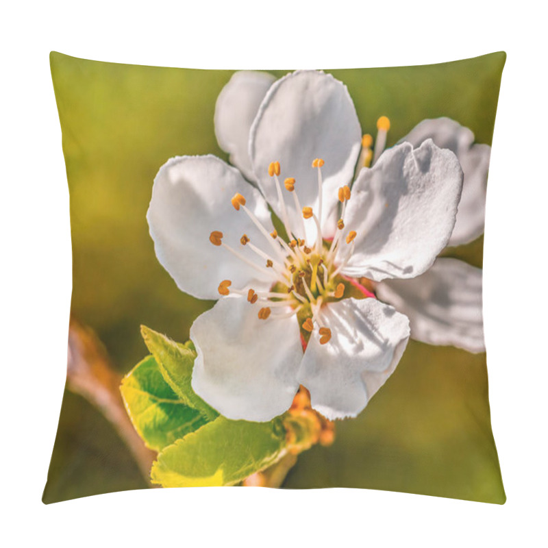 Personality  A Branch With Fresh Spring Blossoms At The Beginning Of The Year Pillow Covers