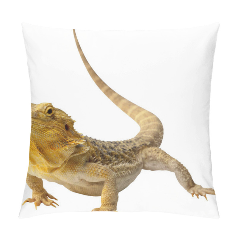 Personality  Large Iguana Isolated On White Background Pillow Covers