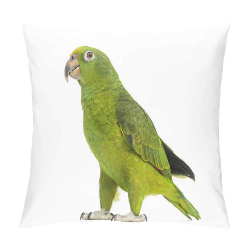 Personality  Panama Yellow-headed Amazon (5 Months Old) Isolated On White Pillow Covers