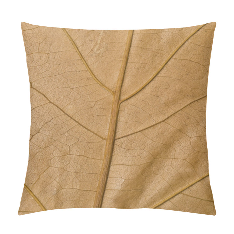 Personality  Macro Of Yellow Maple Leaf Surface Pillow Covers