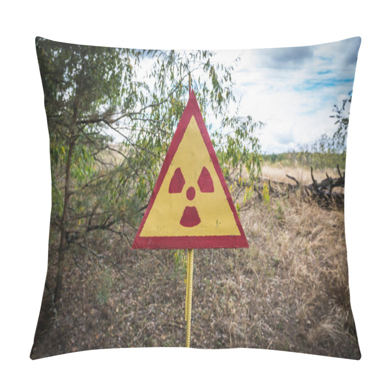 Personality  Zone Of Alienation Pillow Covers