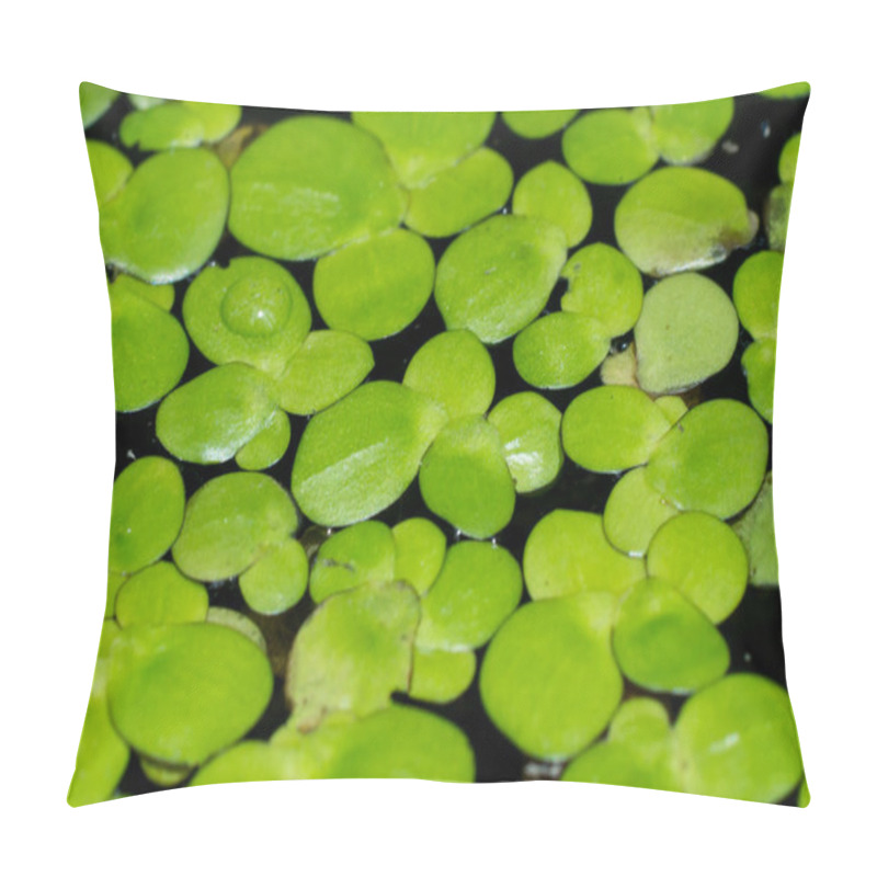 Personality  Macro Of Duckweed Pillow Covers