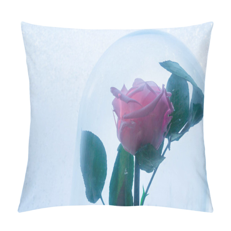 Personality  Pink Rose In A Glass Bulb On The Background Of Frozen Window Pillow Covers