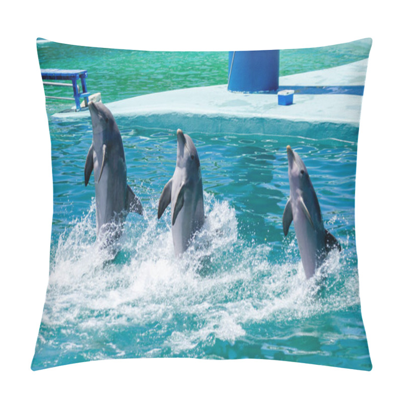 Personality  Bottlenose Dolphins In An Aquarium Walking Over The Pool Water Backwards. Cancepto De Entretenimiento. Pillow Covers