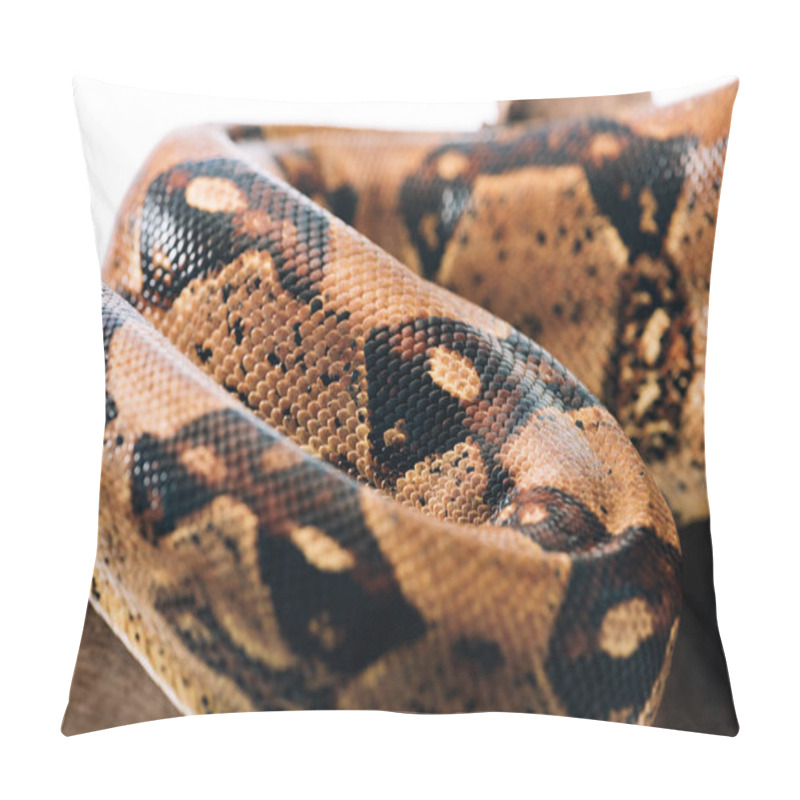 Personality  Selective Focus Of Textured Python Snakeskin On Wooden Log Isolated On White Pillow Covers