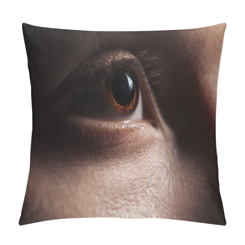 Personality  Close Up View Of Young Woman Brown Eye Looking Away Pillow Covers