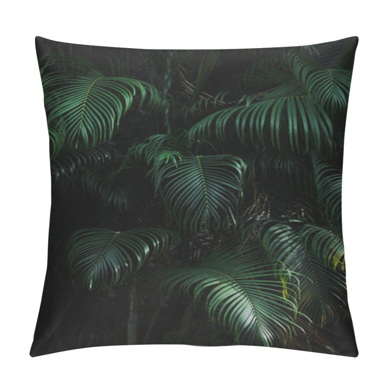 Personality  Vertical Dark Green Palm Leaves Texture Background Pillow Covers