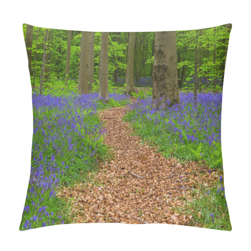 Personality  Famous Forest Hallerbos In Brussels Belgium - Nature Background Pillow Covers