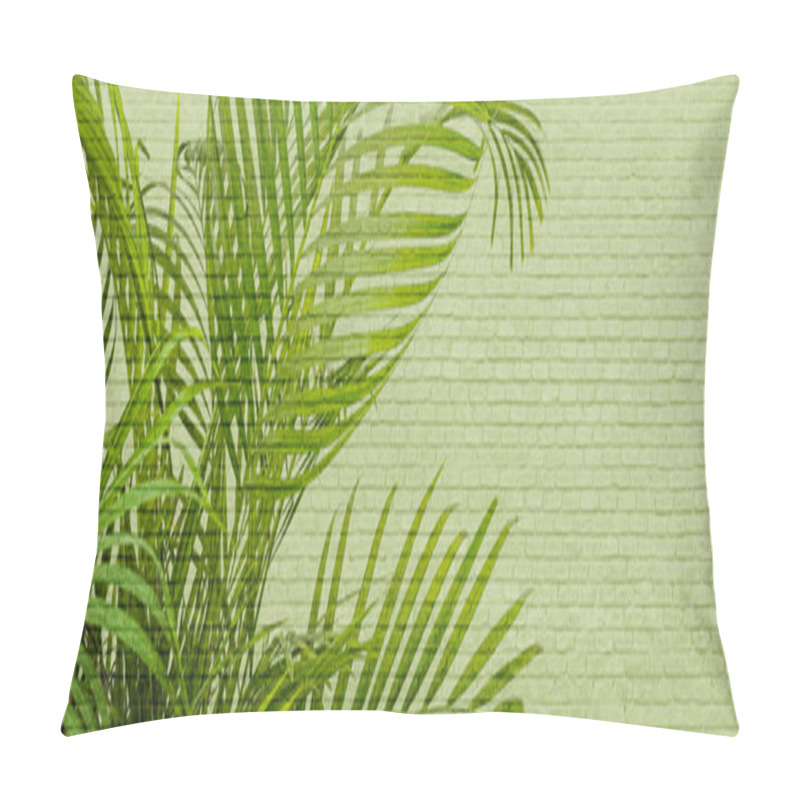 Personality  Palm Leaves On A Light Brick Green Background With Space For Text, Panoramic Background Pillow Covers