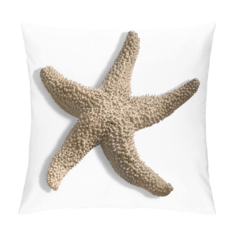 Personality  Isolated Starfish Pillow Covers