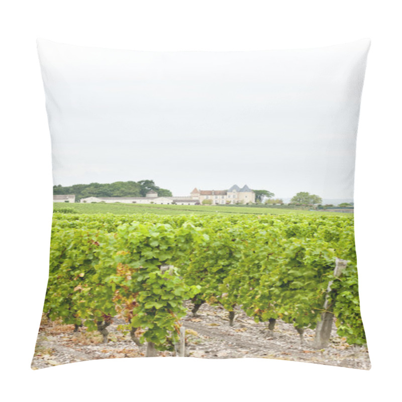 Personality  Vineyard And Chateau D'Yquem, Sauternes Region, France Pillow Covers