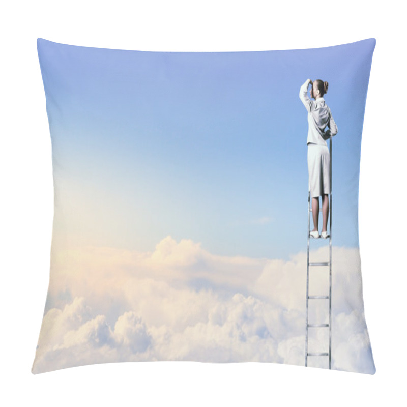 Personality  Businesswoman Standing On Ladder Pillow Covers