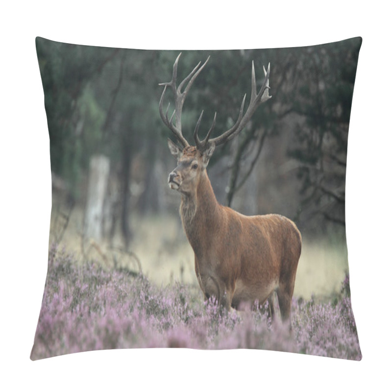 Personality  Red Deer Animal  Pillow Covers